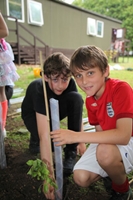 2012uktrees6.jpg