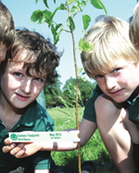 2013_3_tagged_tree_small.jpg