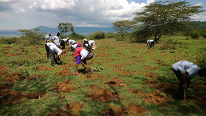 2016_12_kenya_team_plants_2.jpg