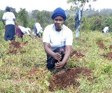 2018_01_kenya_planting_small.jpg