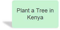 Plant a tree in kenya