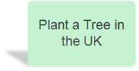 Plant a tree in your region of the UK
