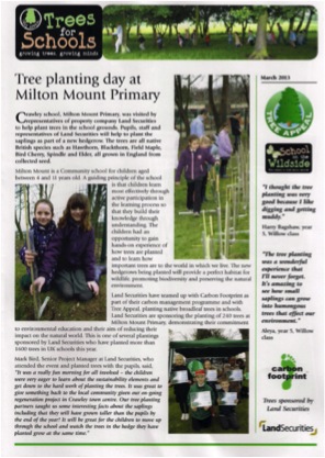 tree_planting_newsletter.jpg