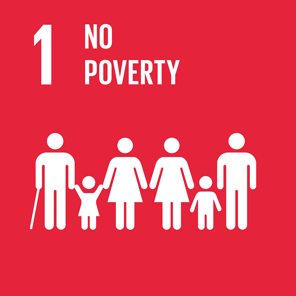 un_no_poverty_icon.jpg
