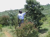 Tree planting team in Kenya, September 2012