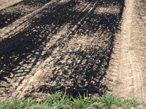 Biochar