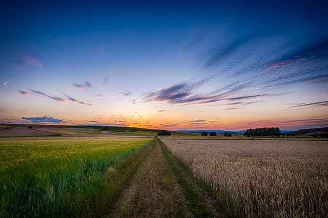 Open farmland under a cloudy sky