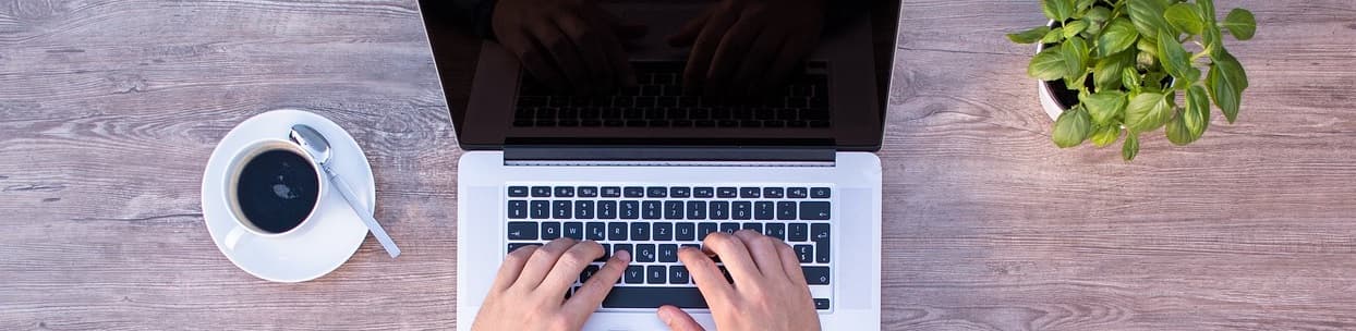 Reading the Carbon Footprint Ltd newsletter on a laptop