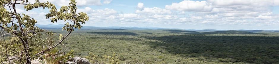 Zambezi REDD Project