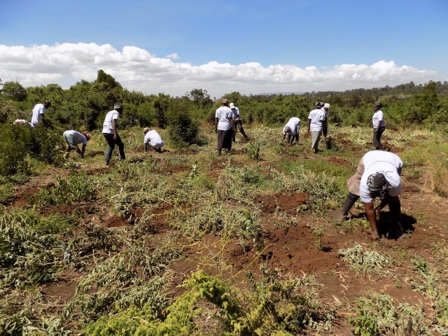 2018_01_kenya_planting_wide_small.jpg