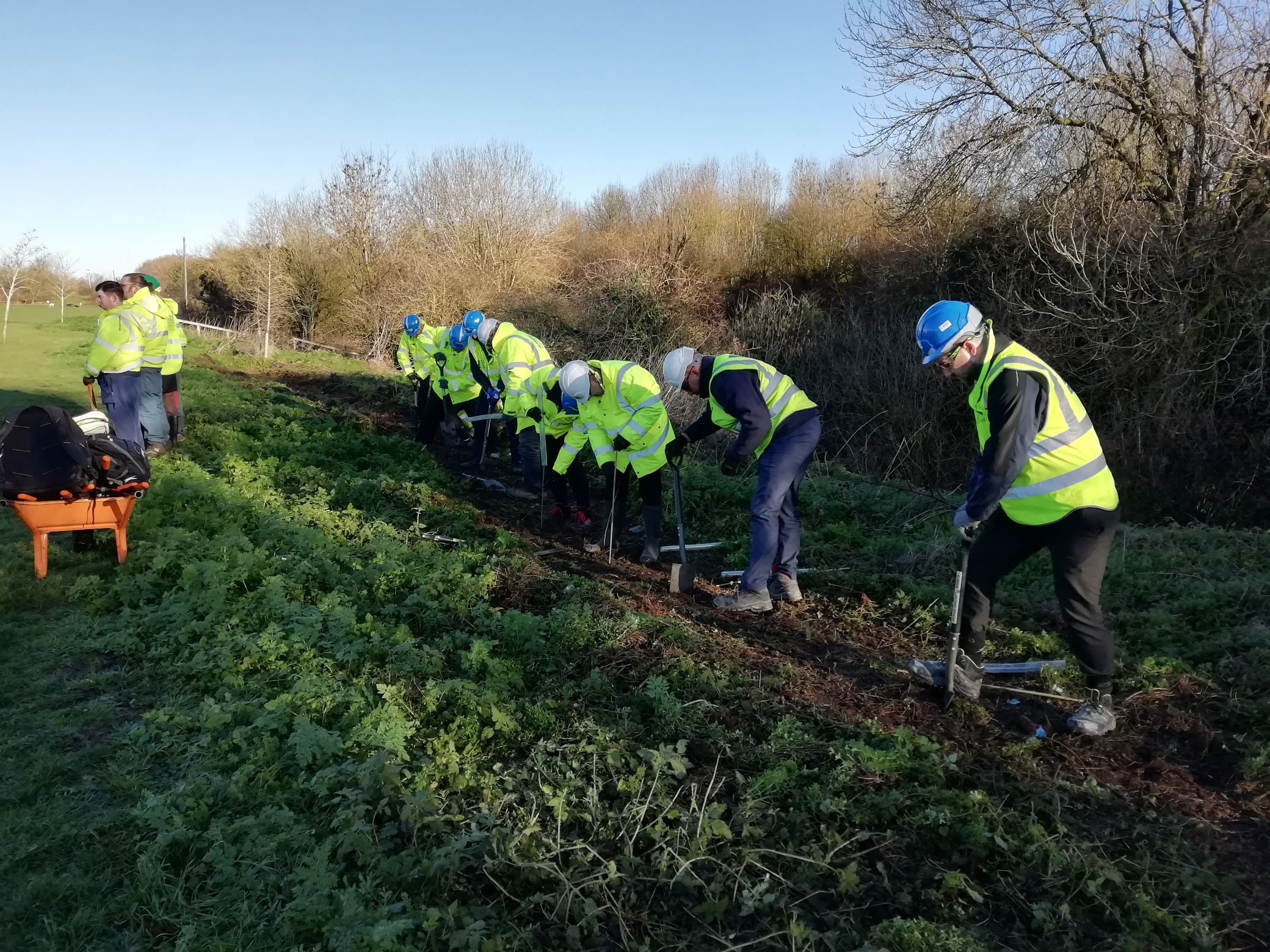 2019_01_tree_planting.jpg