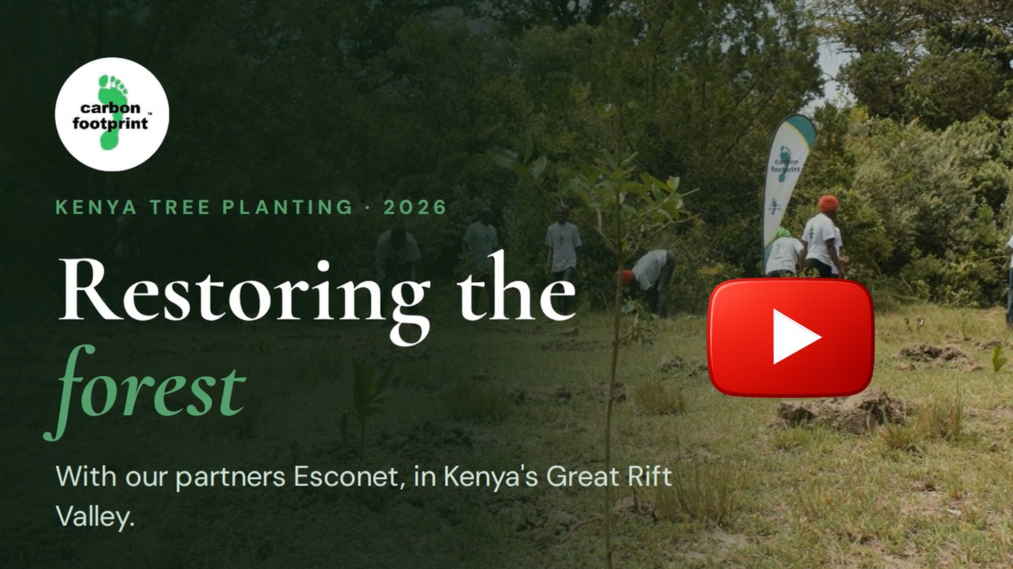 Kenya tree planting - 2026 update