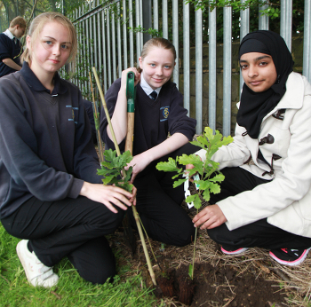 bruntcliffe_girls_plant.jpg