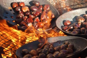 chestnuts.jpg