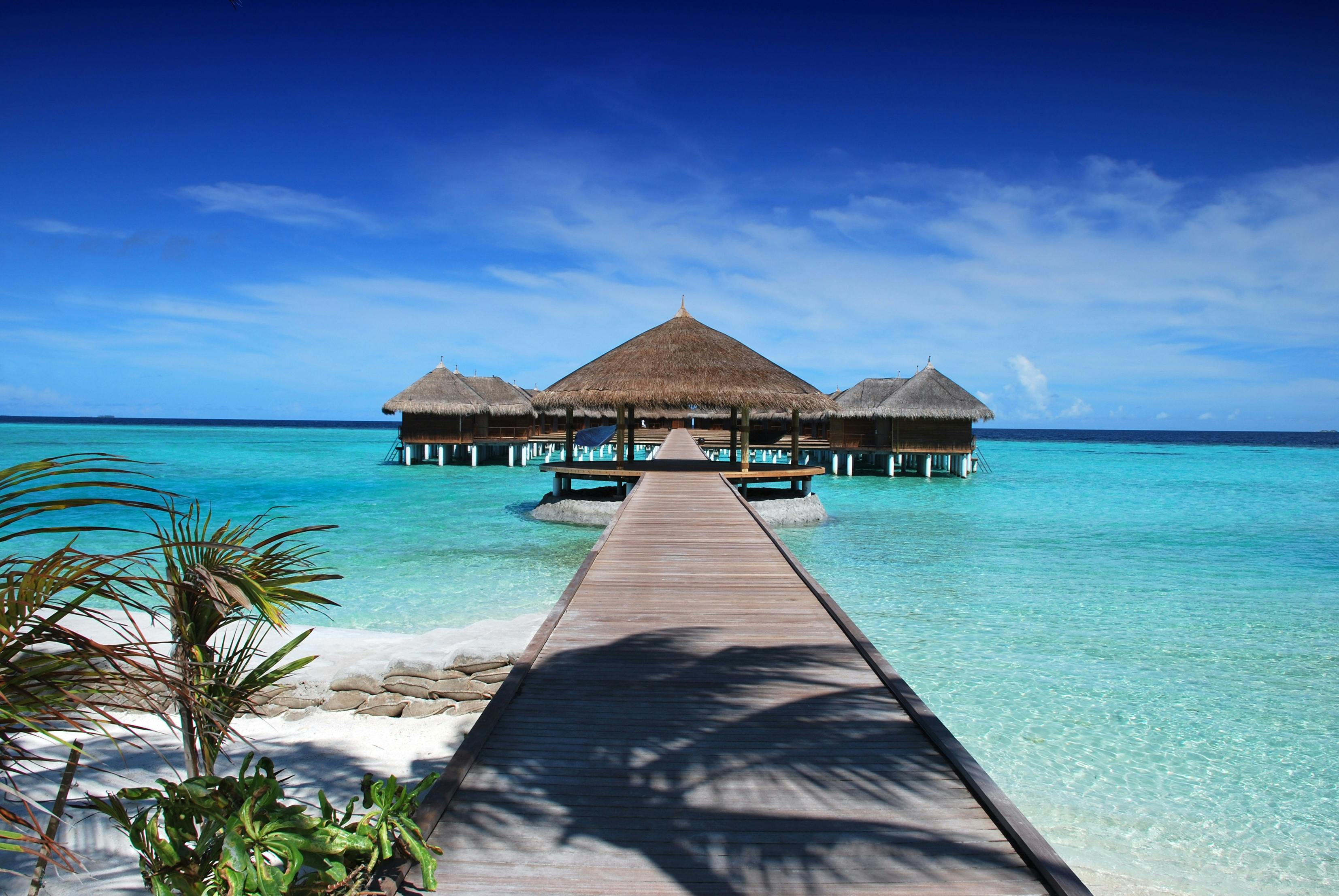 Tropical Destination