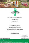 Kenya Tree Planting Certificate