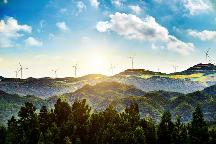 Efficiency in Sustainability