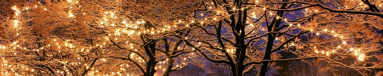 treeslights.jpg