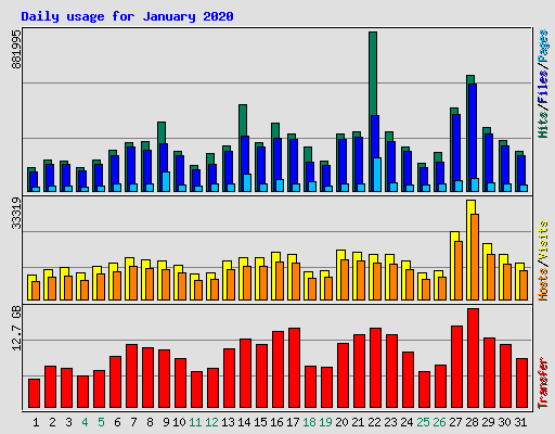 Daily usage for January 2020