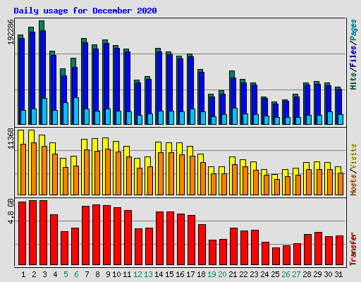 Daily usage for December 2020