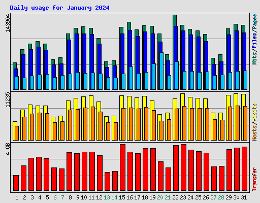 Daily usage for January 2024