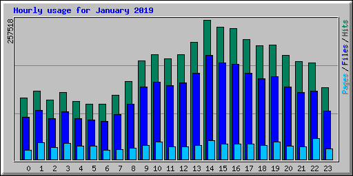 Hourly usage for January 2019