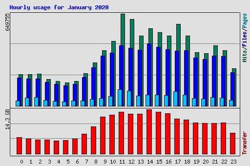 Hourly usage for January 2020