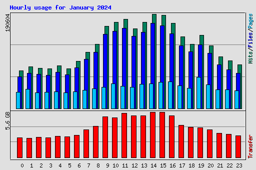 Hourly usage for January 2024