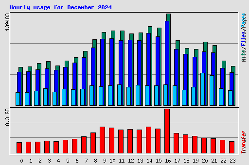 Hourly usage for December 2024