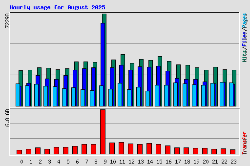 Hourly usage for August 2025