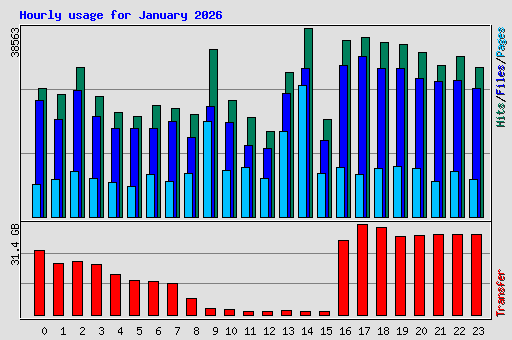 Hourly usage for January 2026