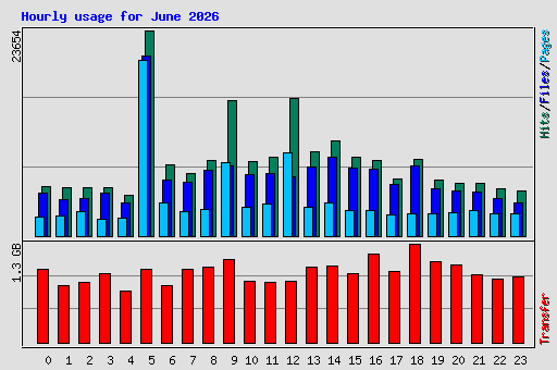 Hourly usage for June 2026